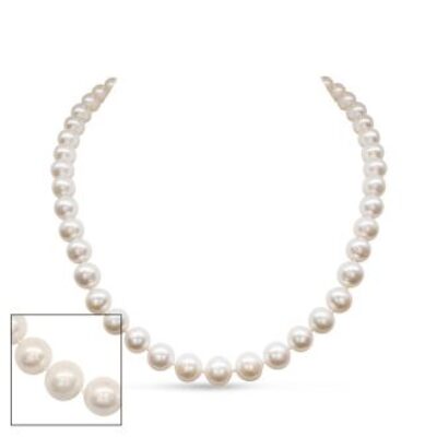 Pearl Strand | June Birthstone | 16 inch 8mm AA Pearl Necklace with 14K Yellow Gold Clasp