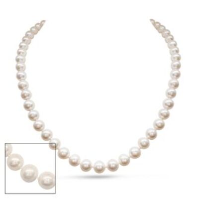 Pearl Strand | June Birthstone | 18 inch 8mm AA+ Pearl Necklace with 14K Yellow Gold Clasp